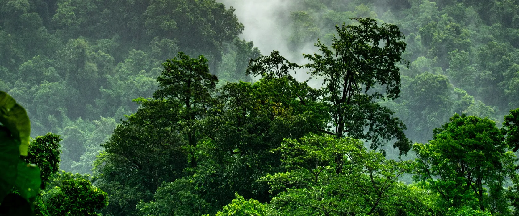 Climate Governance Initiative