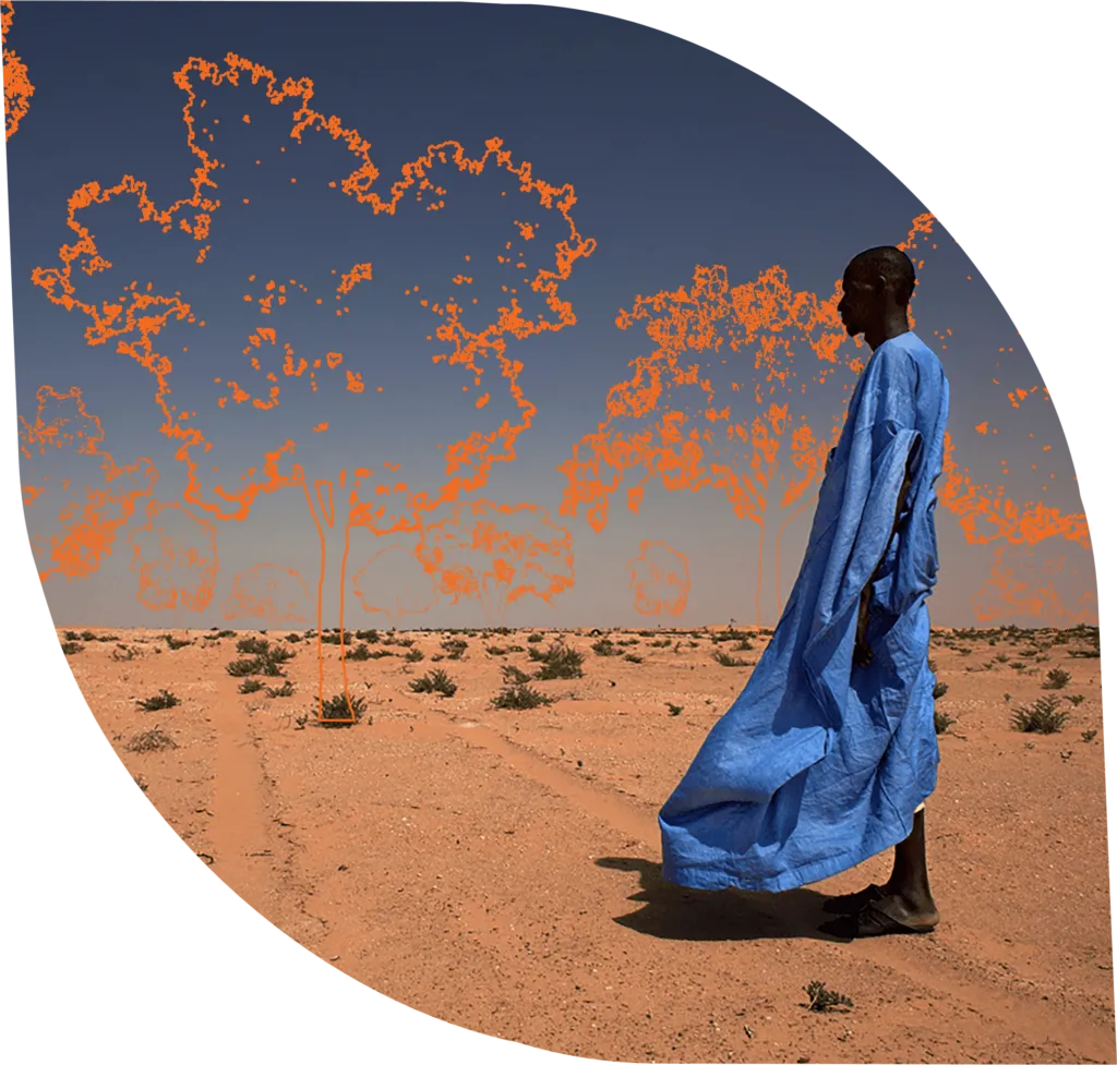 Farmer Managed Natural Regeneration Hub