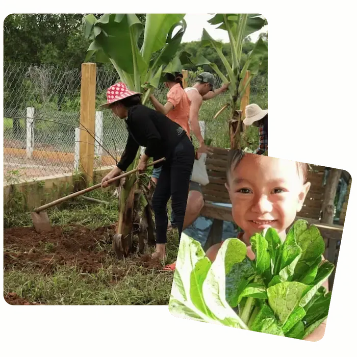 Food Plant Solutions