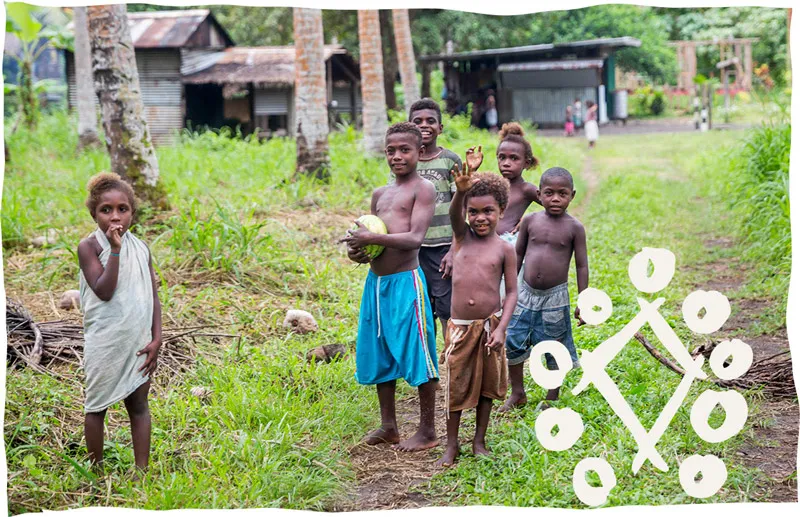 Niulife Organic Coconut Products