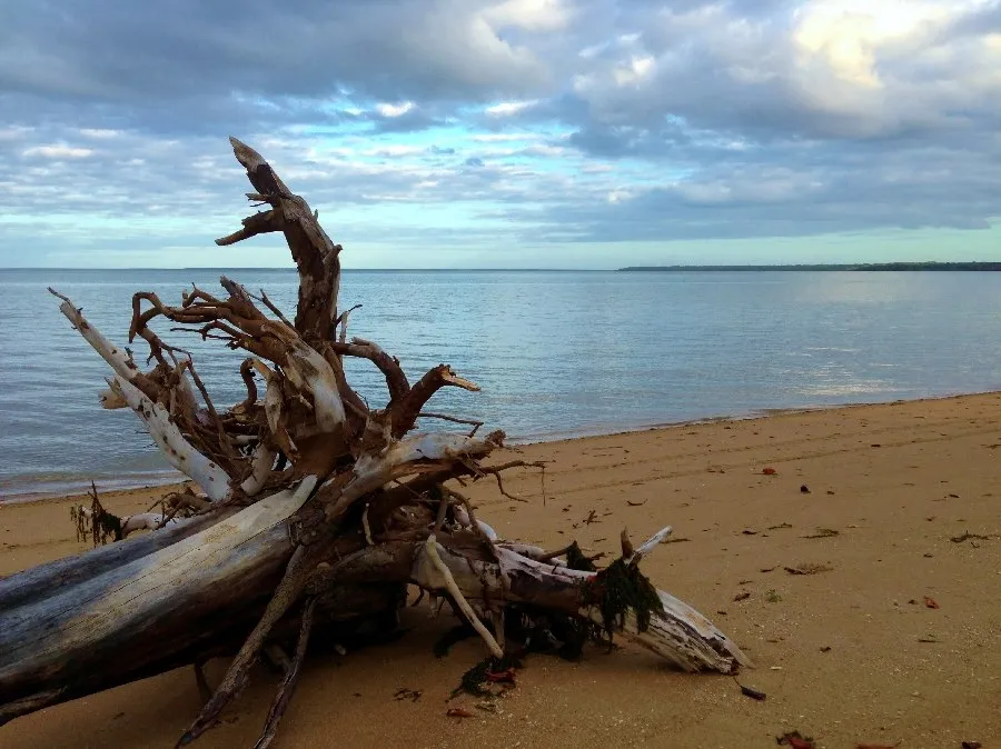 Queensland Churches Environmental Network
